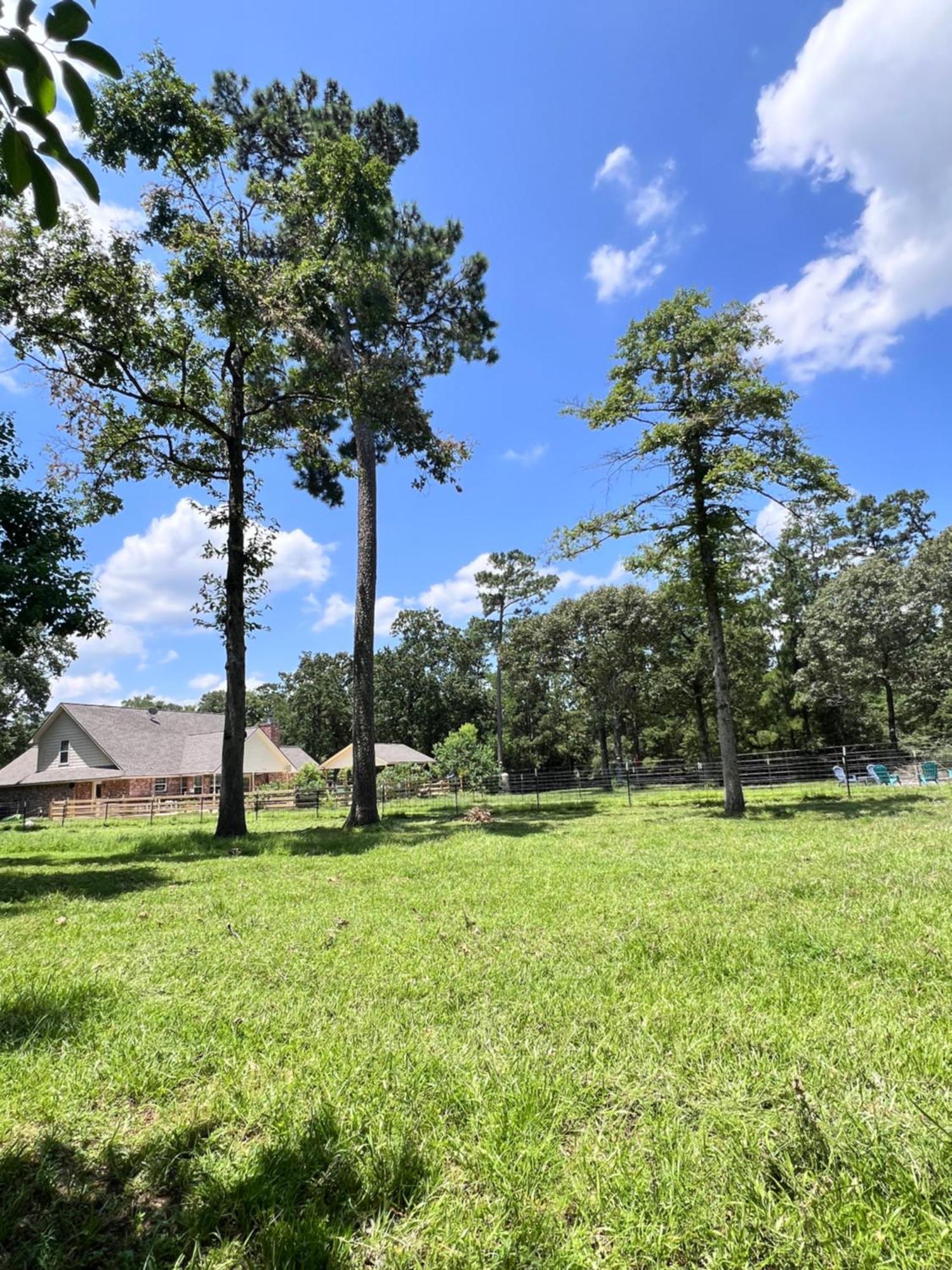 Country Getaway 4 Bedroom Resort In 10 Acre Lot Magnolia Buitenkant foto